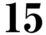 15日