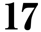 17日