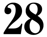 28日